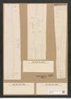 Nitzschia sigma var. consimilis Grun. (de-Toni-Nr.: Genus 47, Species 2099) Zeichnungen Sammlung Grunow Nr. 4182 (NHMW-BOT-W0372074)